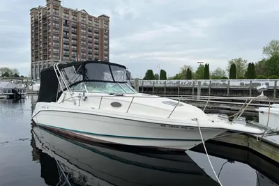 1995 Rinker Fiesta Vee 265