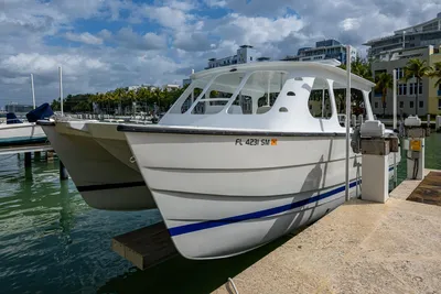 Aventura 31 Cat
