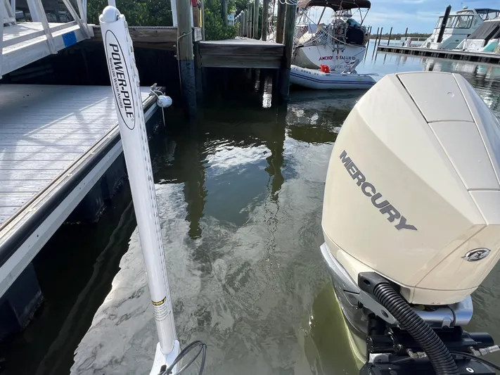  Yacht Photos Pics 2025 Scout 231 XSB with Mercury engine docked near Power-Pole in marina.