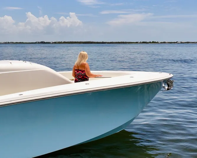 Saltwater Striker Yacht Photos Pics 2016 SeaVee 430 Fish Around boat with person on deck, calm waters, clear sky.