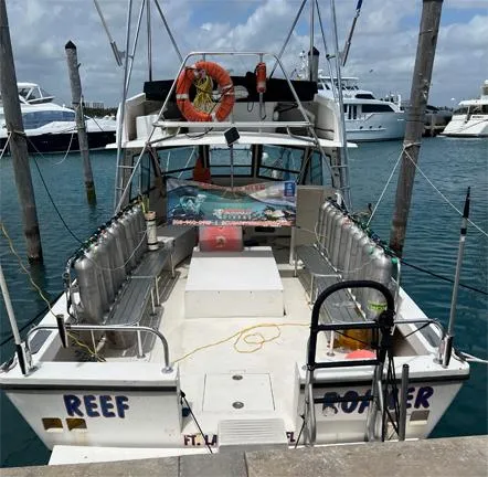  Yacht Photos Pics 