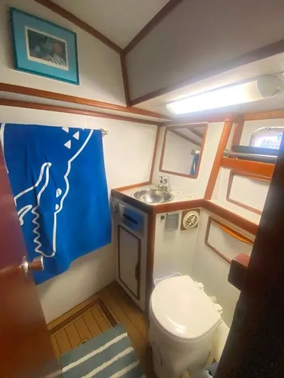 Patience Yacht Photos Pics 