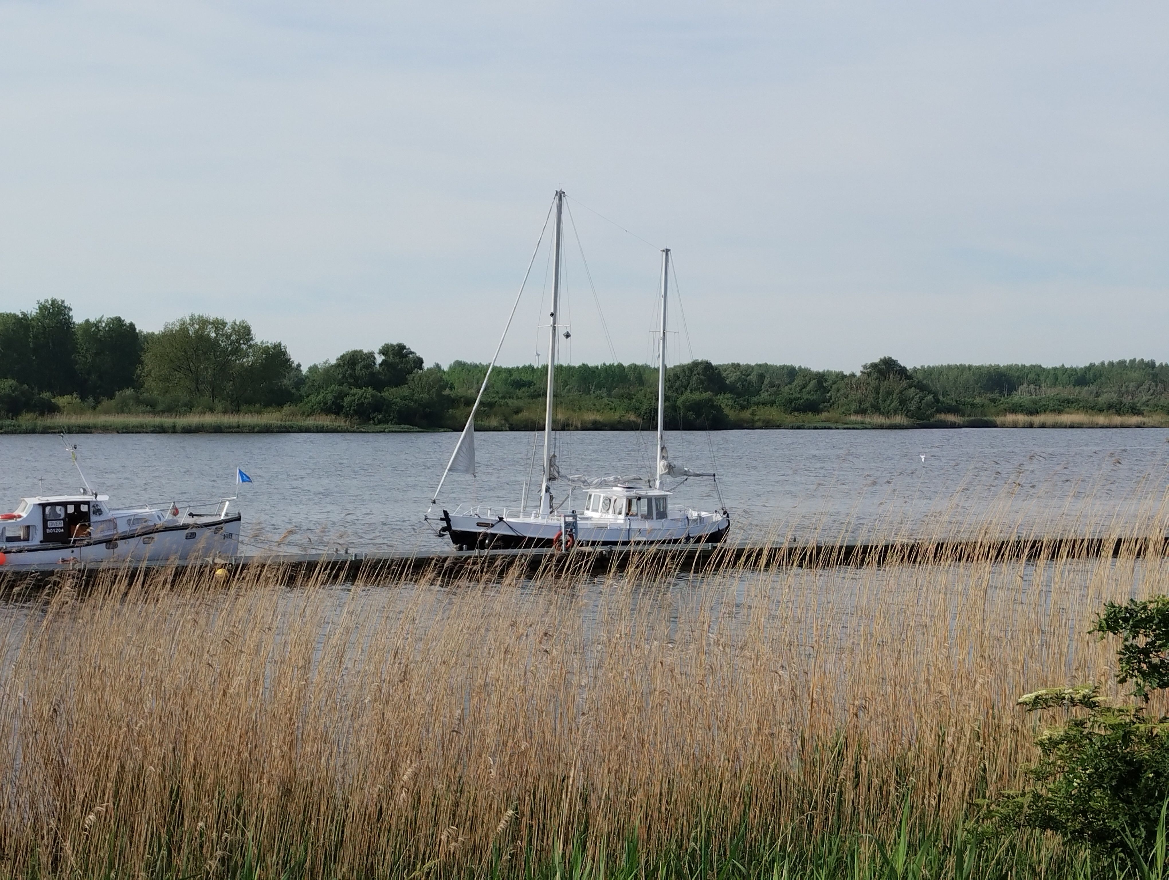 2000 Colin Archer Noorse Jol