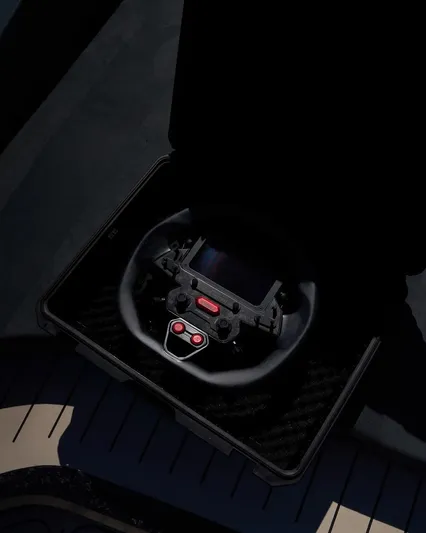 C´est Normal Yacht Photos Pics Twin Quick-Release Carbon Racing Steering Wheels