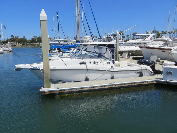  Yacht Photos Pics Actual Boat