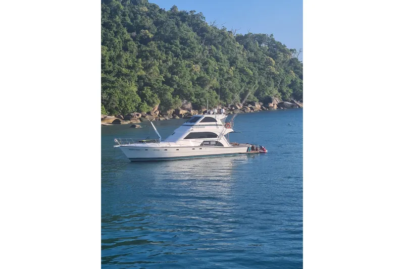 Megisti Spirit Yacht Photos Pics 2008 Westcoaster 70 Flybridge Cruiser anchored near lush green coastline.