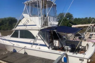 Bertram 35 sport fisherman