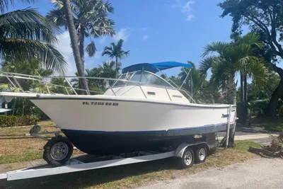 Shamrock 22 Predator