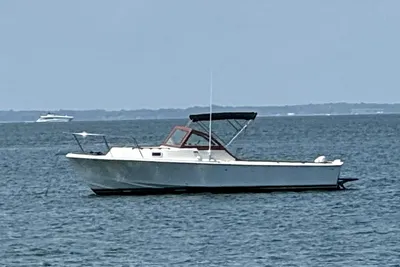 Surf-Hunter 25