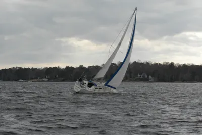 CAL 31