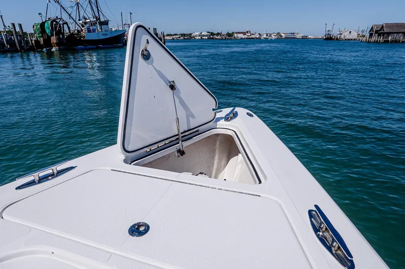 Fear N Money Yacht Photos Pics 2019 Concept 392 ProFish boat with open storage hatch on calm water.