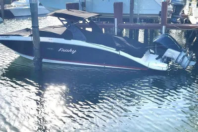 Sea Ray SDX 290 Outboard