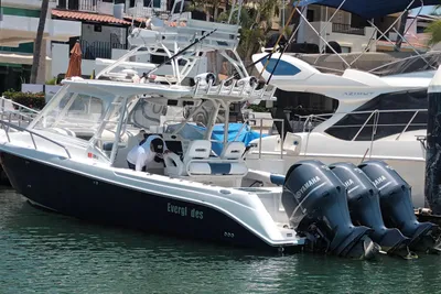 Everglades 350LX