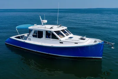 True North 38