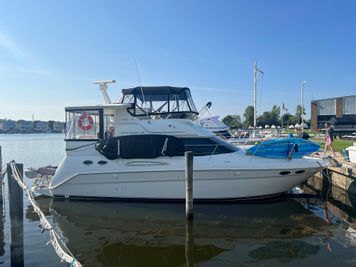 Sea Ray 380 Aft Cabin