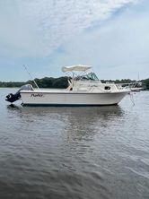 2006 Parker 2310 Walkaround