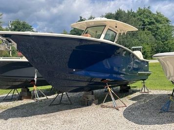 Scout 305 LXF