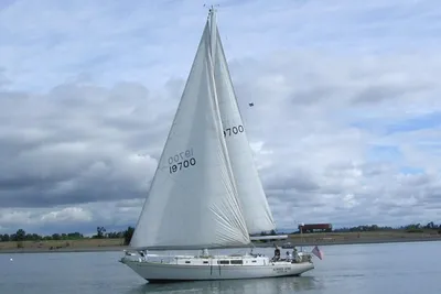 CAL 43