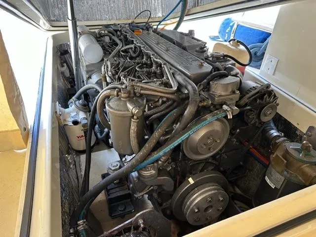 Seas The Day Yacht Photos Pics 