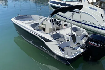 2026 Bayliner Element M17