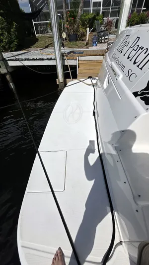 The Perch Yacht Photos Pics Swim Platform Port