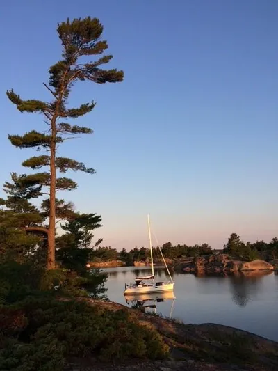 For Grins Too Yacht Photos Pics Sailboat Jeanneau Sun Odyssey 36i, 2010, anchored in serene lake with tall pine tree.