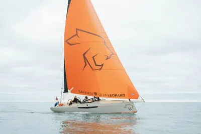 Saffier SE 28 Leopard