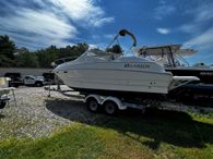 2002 Larson Cabrio 254