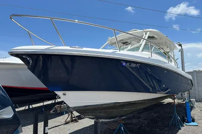 Everglades 350LX