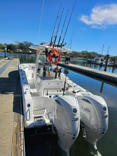  Yacht Photos Pics 