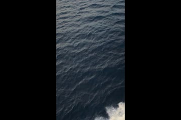 Video Placeholder