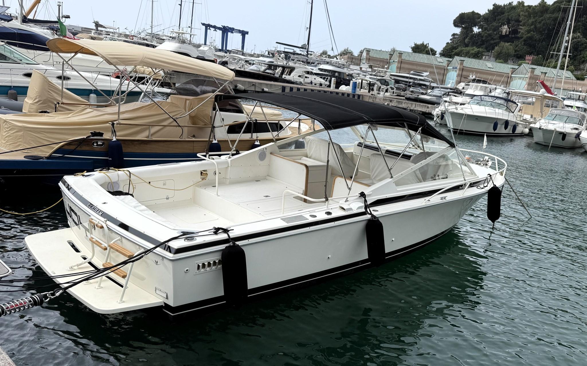 Custom Bertram Yacht 28' Moppie