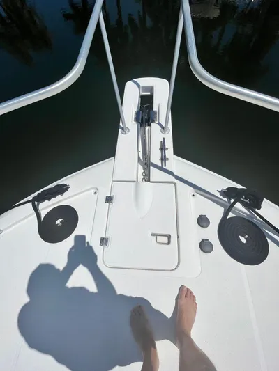 Silverback Yacht Photos Pics 