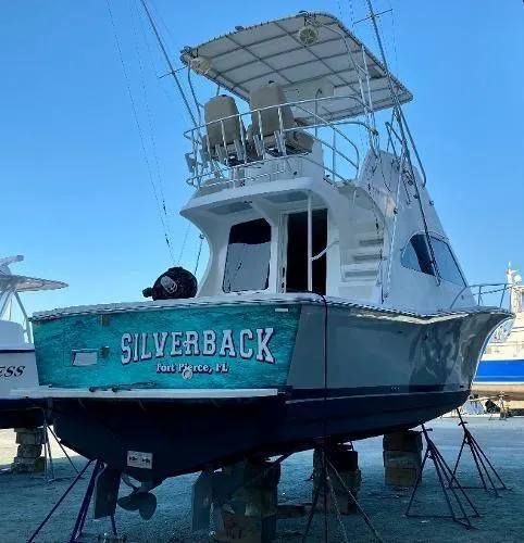 Silverback Yacht Photos Pics 