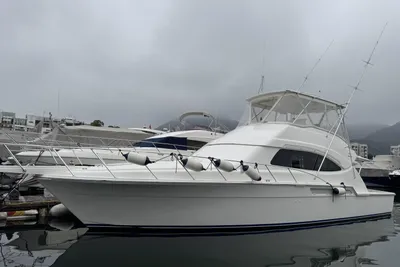 Bertram 510