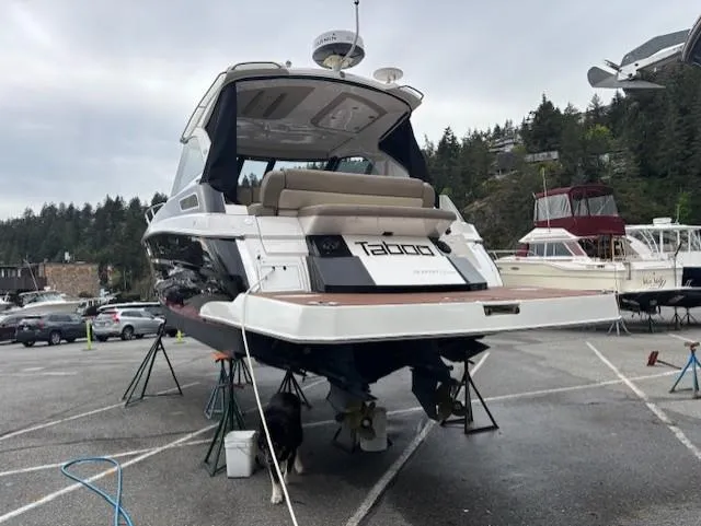 Taboo Yacht Photos Pics 