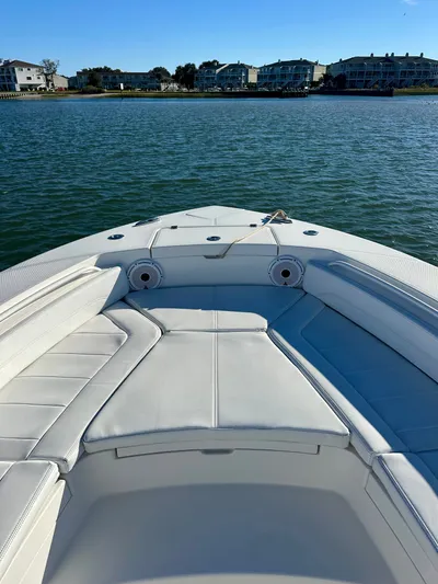 Amy's Cupholder Yacht Photos Pics 