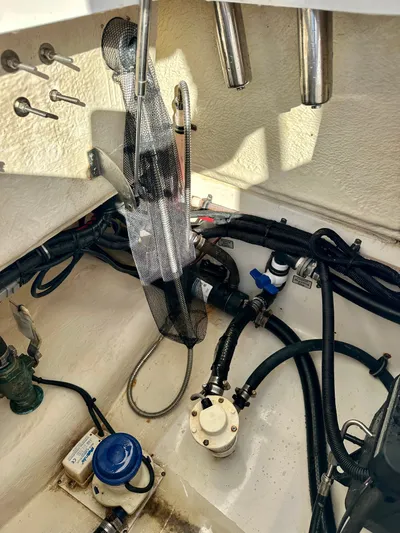 Amy's Cupholder Yacht Photos Pics 