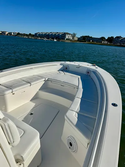 Amy's Cupholder Yacht Photos Pics 