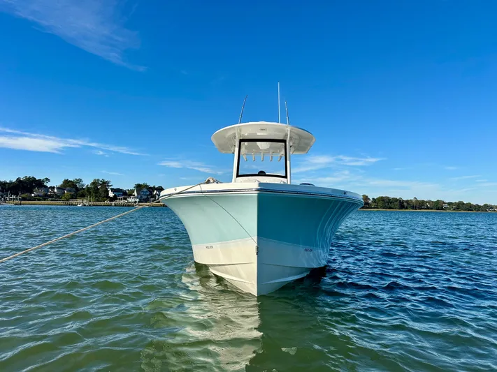Amy's Cupholder Yacht Photos Pics 