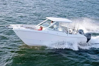 World Cat 296 DC