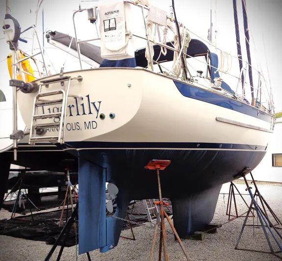 Tigerlily Yacht Photos Pics 