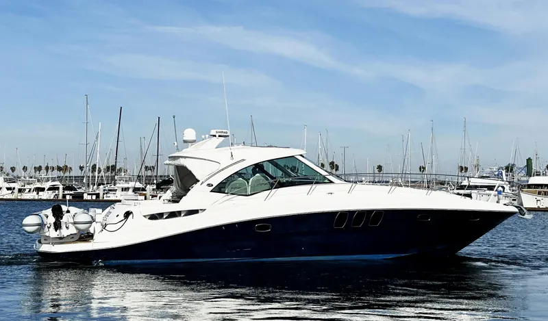 Rogue Yacht Photos Pics 