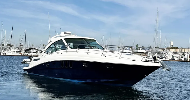 Rogue Yacht Photos Pics 