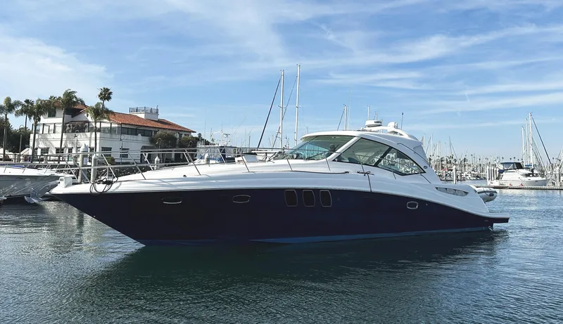 Rogue Yacht Photos Pics 