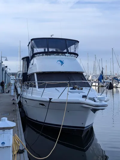 Island Girl Yacht Photos Pics 