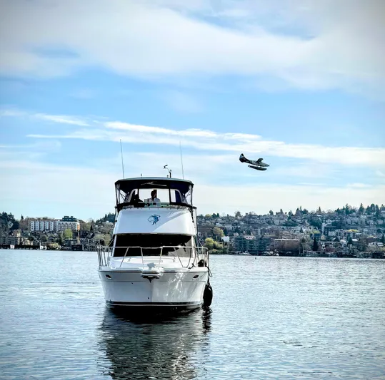 Island Girl Yacht Photos Pics 