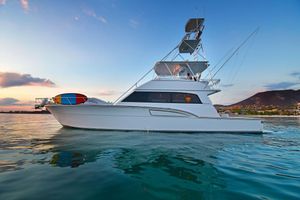 Donzi Sport Fisherman