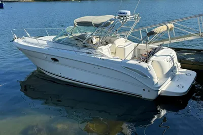 Sea Ray 290 Amberjack