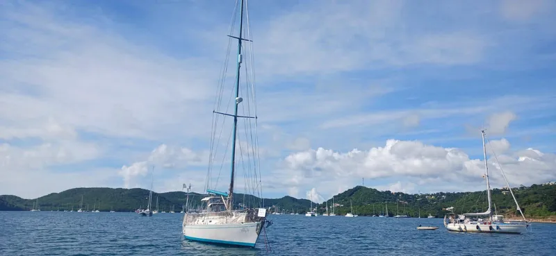 Alice In Wonderland Yacht Photos Pics 